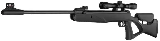 BLS 26000205 DIANA TWO-SIXTY CAL.4,5MM(.177)22J BK