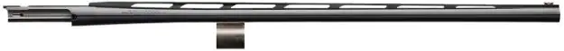 BRN 111744305 SB MAX II GLOSS 12-3 26