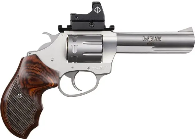 CHA 72245 TARGET PATHFNDR 22LR 4.2 8SHT OR SS