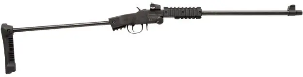 Chiappa Little Badger 22Lr Take Down Extreme 16.5" Matte