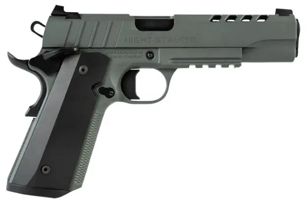 Tisas 1911 Night Stalker 45Acp 5" Bbl 2-8Rd Mags Grey<
