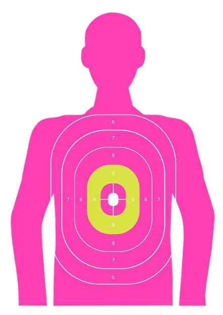 ALLEN 15653 EZ AIM TRGT 23X35 IN THE PNK SILH 3PK