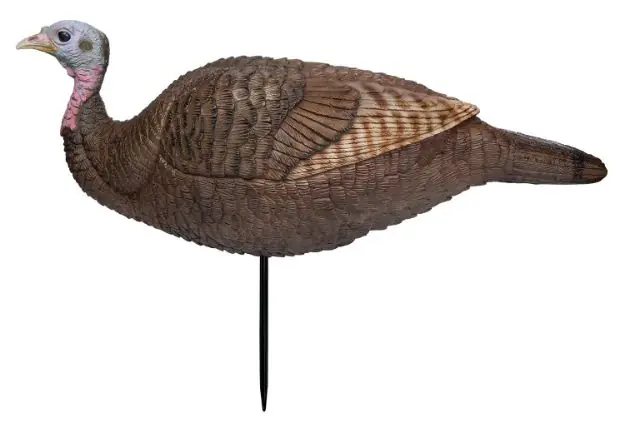 PRIM 69073 LIL GOBSTOPPER HEN