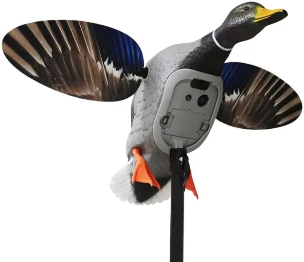 MOJO HW2520 ES KING MALLARD