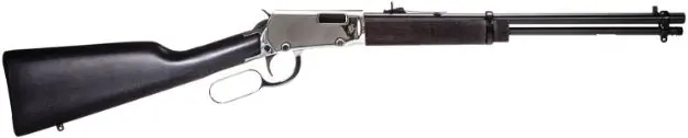 Rossi Rio Bravo 22Lr Lever 18" 15-Shot Nickel Wood