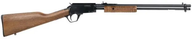 ROSSI GALLERY 22WMR 20" 12RD WOOD
