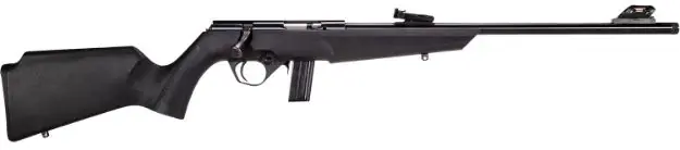 Rb22 22Lr Blk/Syn 16.5" 10+1