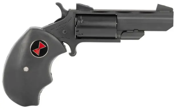 Naa"True Black Widow" Mini-Rev 22Wmr 2" Fs Cerakote Black