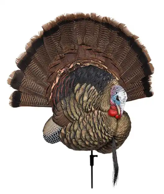Avian X Trophy Tom Decoy