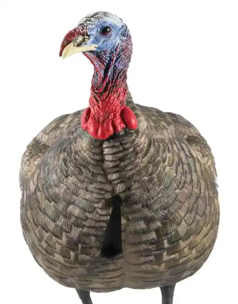 Avian X Lcd Quarter Strut Jake Decoy