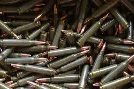 Wolf Performance Ammunition - 223 Remington - 55 Grain Full Metal Jacket - 20 Rounds - Steel Case