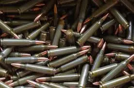 Wolf Performance Ammunition - 223 Remington - 55 Grain Full Metal Jacket - 1000 Rounds - Steel Case