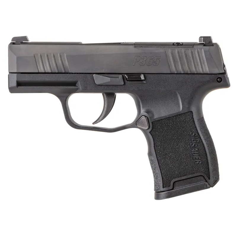 SIG P365 .380 ACP 3.1" Barrel 10-Round Black Night Sights