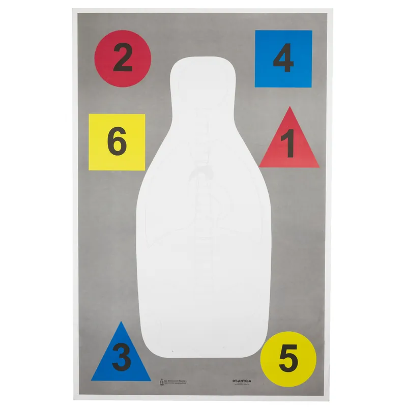Anatomy Multi-Color Target Darts 100-Pack