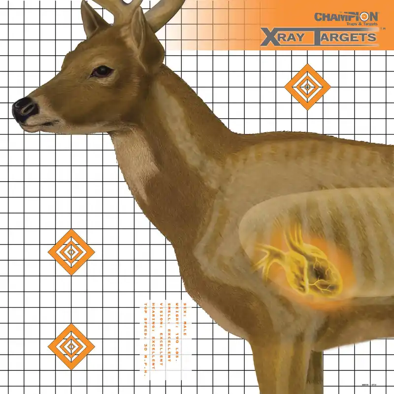 Champion Deer X-Ray Target Pack of 6