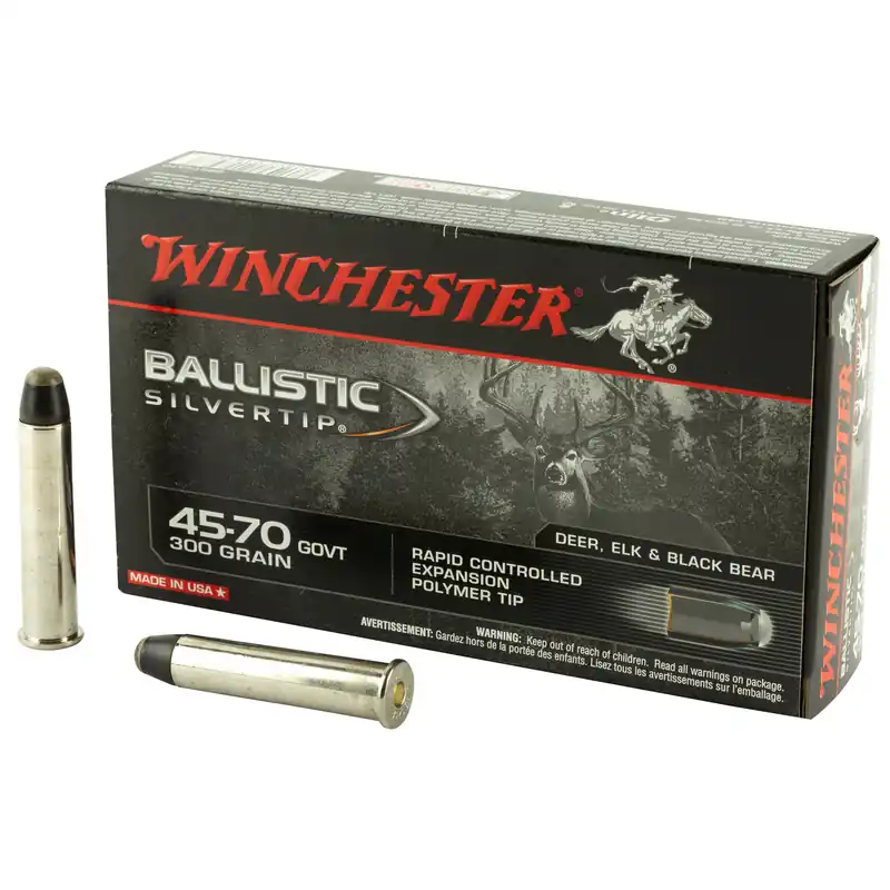 Winchester Ballistic Tip 45/70 Government 300 Grain 20/200