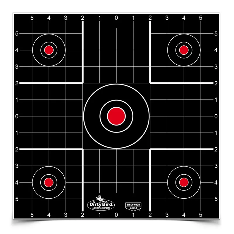 B/C Dirty Bird Target Sighted at 12-12"