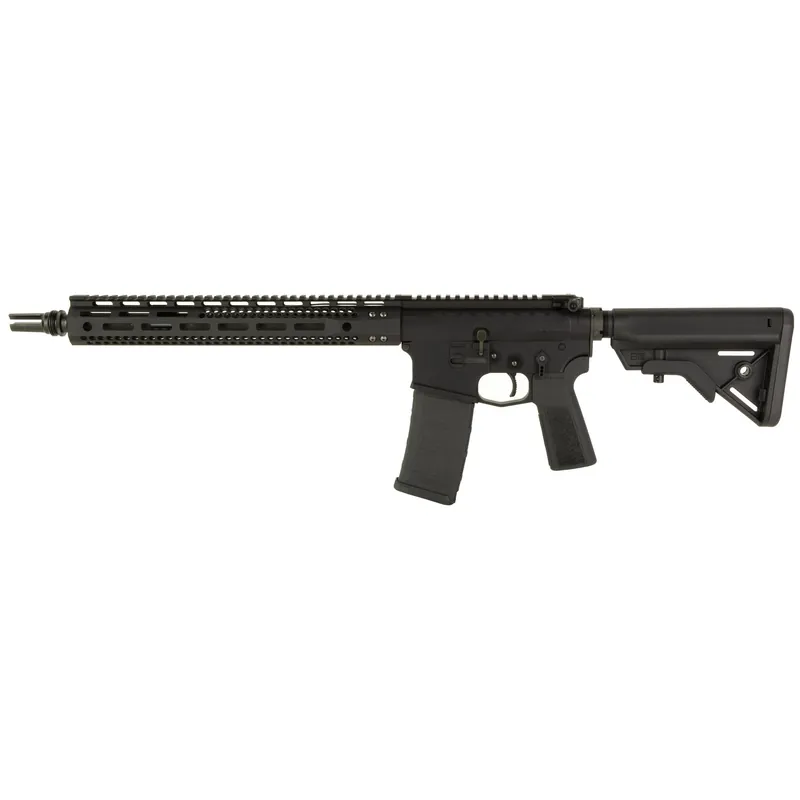 Watchtower 15 556 14.5" ASR 30-Round Black Rifle