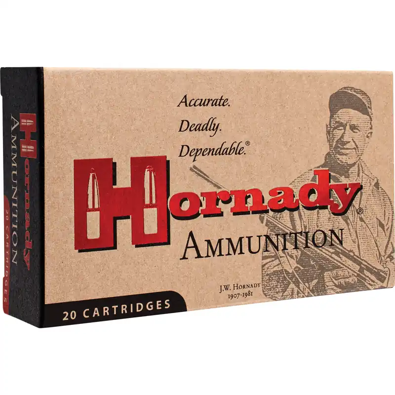 Hornady 300 Blackout 110 Grain CX Ammunition - 20 Rounds/200 Rounds
