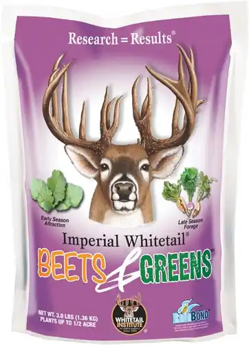 Whitetail Institute Beets and Greens 1/2 Acre 3lbs Fall Mix