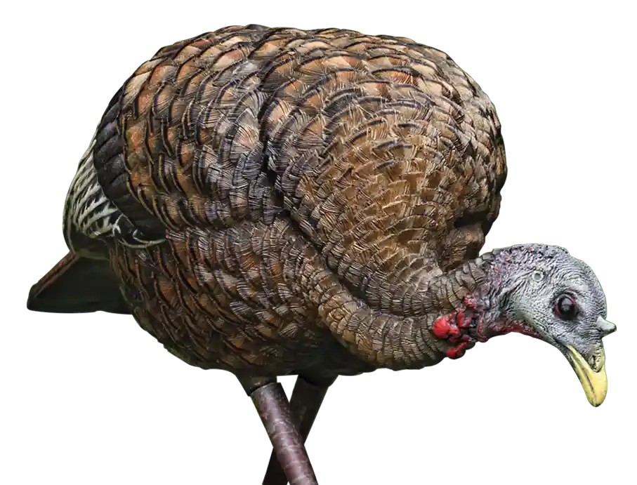 Avian X LCD Feeder Hen Turkey Decoy - Multi-Color Dura-Rubber