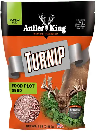 Annual Antler King Turnips 1 lb Bag - 1/8 Acre Coverage
