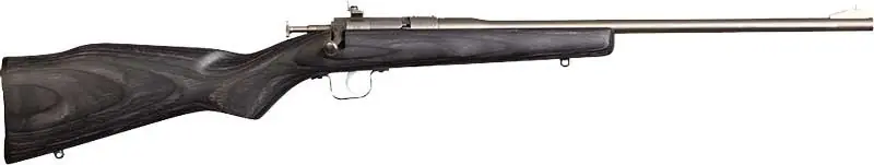 Stainless/Black Laminate Chipmunk Rifle .22LR