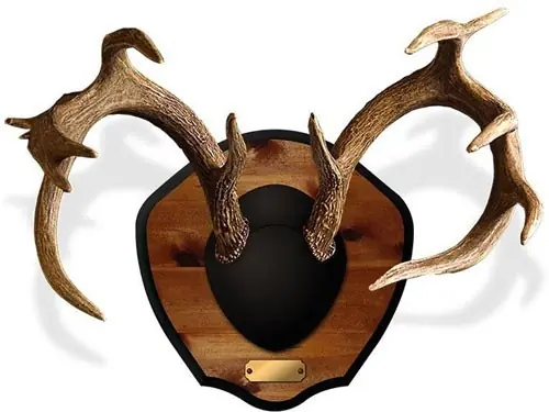 Mountain Mike's Deer Antler Plaque Master Classic Kit