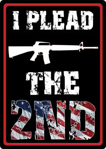 "I Plead the Second" Rivers Edge Sign 12"x17"