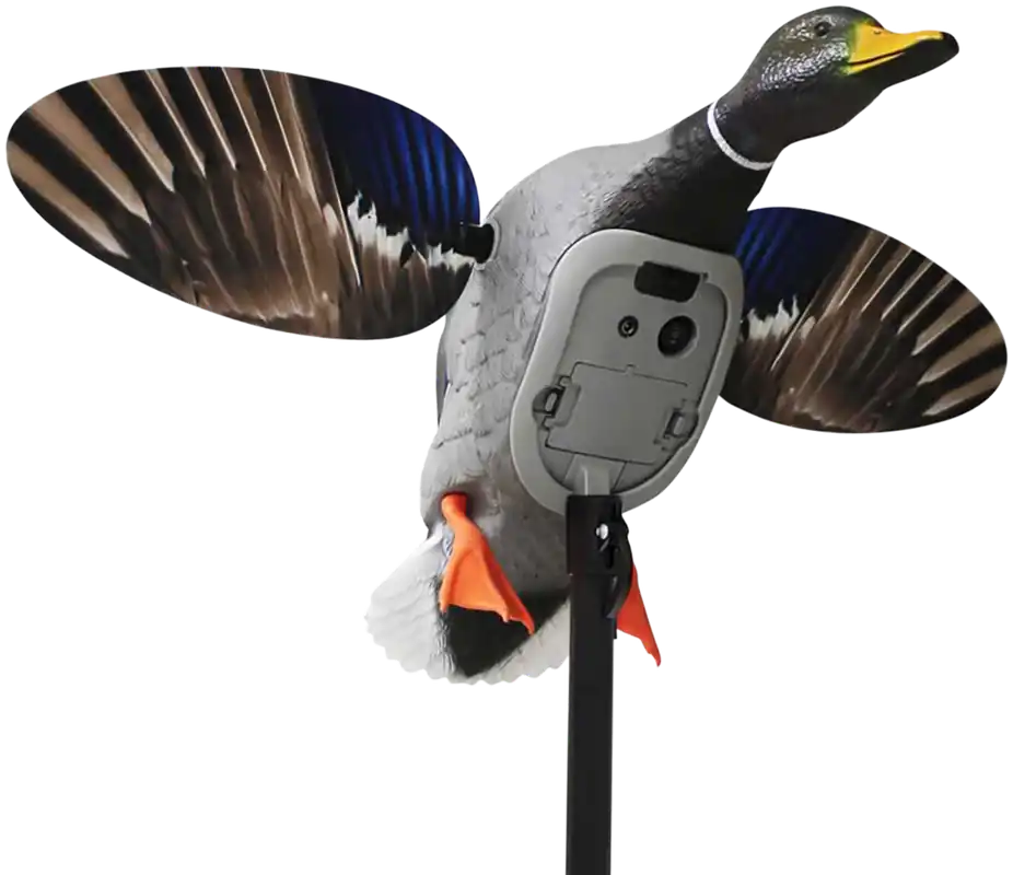 Elite Series King Mallard Decoy - Multi Color Plastic by Mojo Outdoors