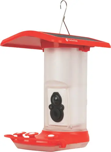 Solar-Powered Wi-Fi Hummingbird Feeder with Camera - FeatherSnap