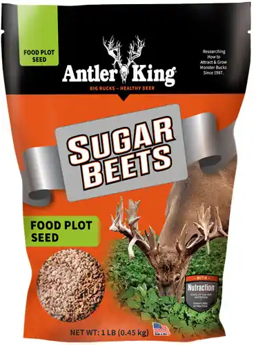 Annual Antler King Sugar Beets 1 lb Bag - 1/8 Acre Coverage