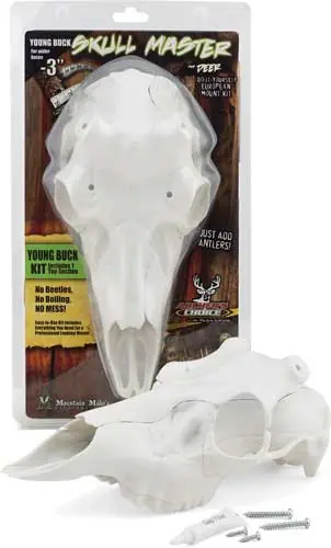 Deer Skull Kit by Skull Master Smallmountain Mike