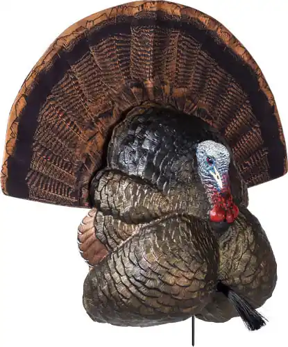 Flextone Thunder Creeper Strutter Decoy with Folding Fan