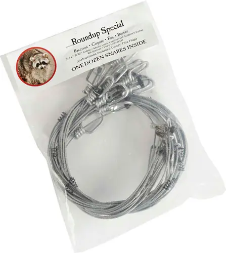 12-Pack Duke #1 Snare Traps - Roundup Special