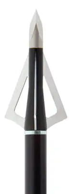 Wasp Hammer SST 3-Blade Fixed Broadhead 100gr 1 3/16" 3-Pack