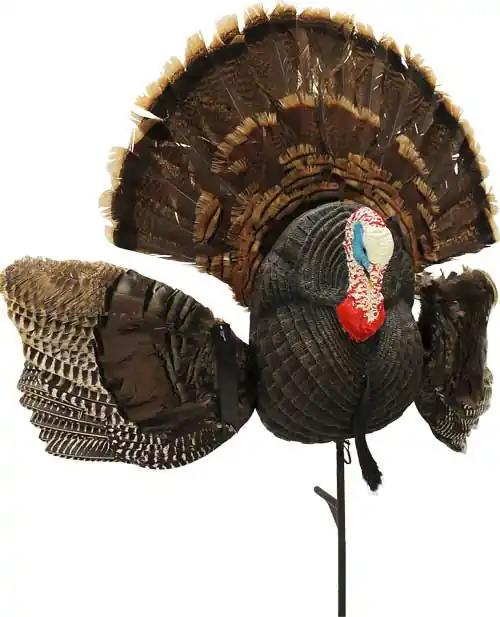 DecoyMojo Scoot 'n Shoot Max Turkey Hunting Guide