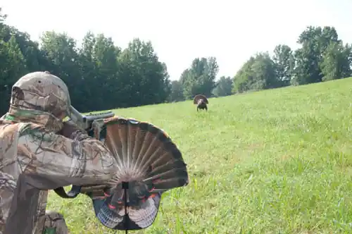 FANATIC 2DMONTANA DECOY TURKEY GOBBLER