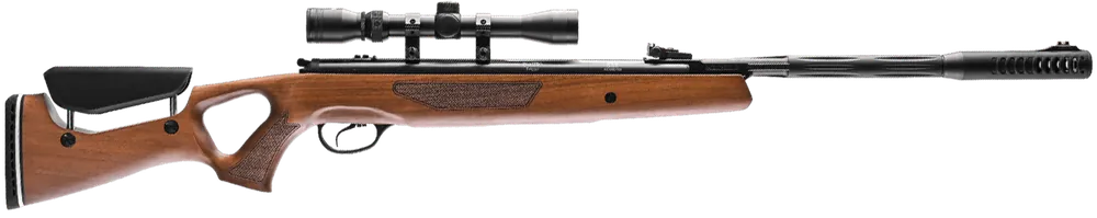Hatsan Mod 65 .22 Caliber Wood Air Rifle