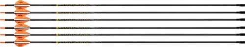 Victory Archery VAP TKO Elite 400 Arrow Fletched 6 Pack