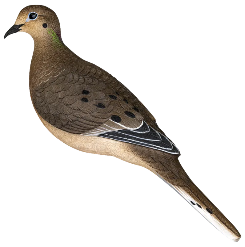 Avian X Full Body Multi-Color Dove Decoy 6-Pack
