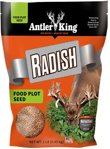 Annual Antler King Radish 1 lb Bag - 1/10 Acre Coverage