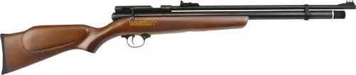 Beeman 1322 PCP Chief .22 Single Shot Pellet Air Rifle