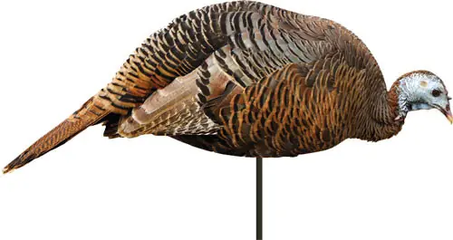 Bellemontana Turkey Hen Decoy Dinner