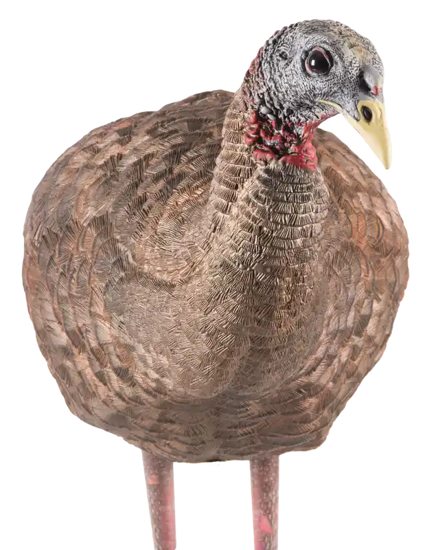 Avian X LCD Breeder Hen Turkey Decoy - Multi-Color Dura-Rubber
