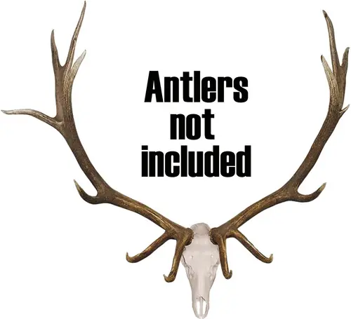 Universal Elk Skull Mount Kit by Mountain Mike's