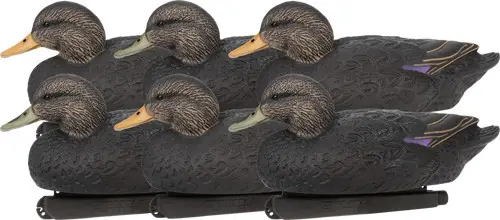 6-Pack Black Duck Floater Decoys