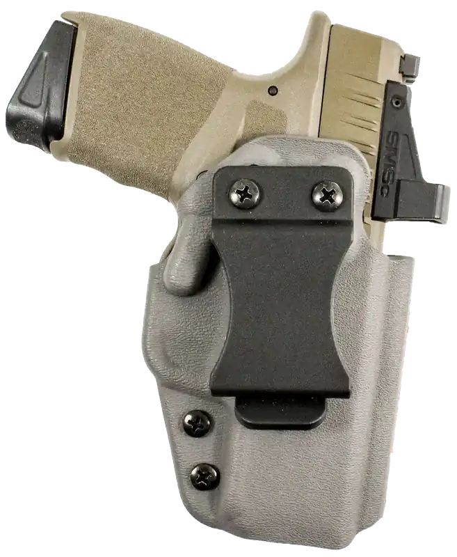 DeSantis Gunhide Mean Streak IWB Holster for Sig Sauer P365 - Right Hand, Gray