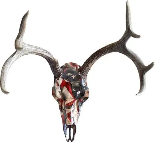 American Flag Deer Skull Master Kit with Mount by Mountain Mike's