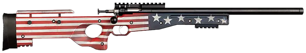 Crickett KSA2150-OG Precision .22 LR Single Shot Rifle with Old Glory Stock